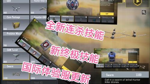 体验服 最新爆料